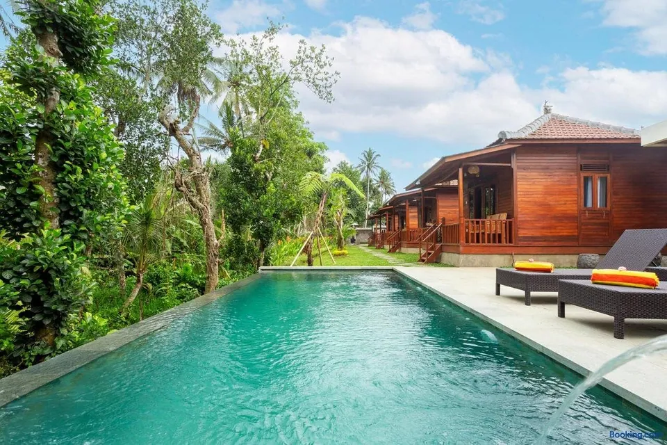 The pool framed by dense tropical planting, with palms and a tall tree leaning in over the water